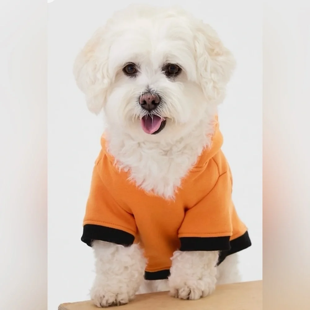Gap Pet Dog Halloween Costume Pumpkin